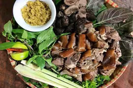 Gallery - Hà Nội cấm ăn thịt chó - image 17