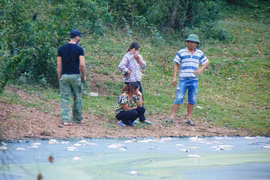 TĐ Hòa Phát tăng cao doanh thu nông nghiệp... lại “lềnh phềnh” ô nhiễm môi trường