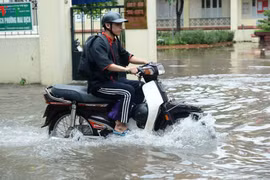 Gallery - Cơn bão số 3 Wipha - image 14