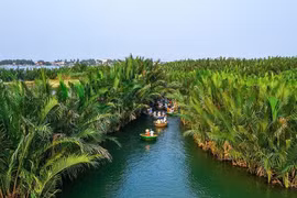 Về rừng dừa Bảy Mẫu bơi thuyền thúng, "check-in" xanh