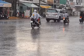 ‘Mưa vàng’ vào rạng sáng ở miền Tây