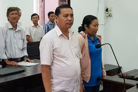 Cựu phó bí thư xã ở Phú Quốc lĩnh án vì hủy hoại rừng