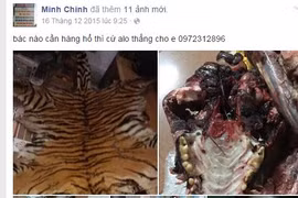 Buôn bán trên facebook xuất hiện mặt hàng...hổ, gấu, đại bàng
