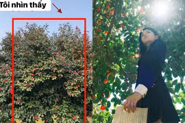 Không thể tin vào mắt với những bức ảnh “nhìn thấy và chụp được“