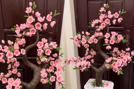 Giới trẻ đua nhau làm hoa đào, hoa mai từ kẽm nhung chưng Tết