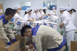 Gallery - RANCE PHARMA, HACOFOOD GROUP SẢN XUẤT 573 NHÃN HIỆU SỮA BỘT GIẢ - image 7
