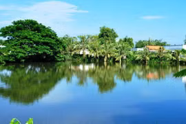 Ảnh minh hoạ