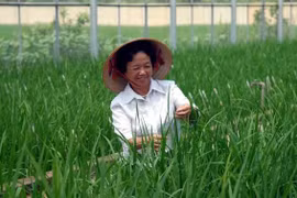 Gallery - NHÀ KHOA HỌC VIỆT - image 16