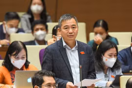 PGS.TS Nguyễn Lân Hiếu: Đơn giản và tường minh, lựa chọn cho giáo dục lúc này