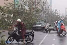 Những hình ảnh ngổn ngang từ tâm bão số 11 