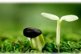 Không có gì đẹp bằng sự thật