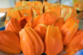 Trồng mít ruột đỏ, nông dân Long An bán 100.000 đồng/kg