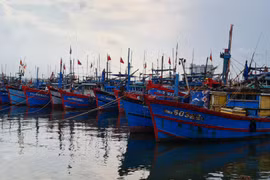 Gallery - HLV Bruno Chia Tay Tuyển Việt Nam - image 13