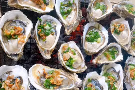 Những người này nên tránh xa hàu biển