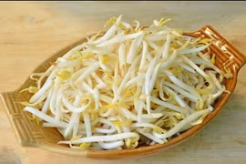 6 lý do nên chọn giá đỗ xanh cho thực đơn hàng ngày