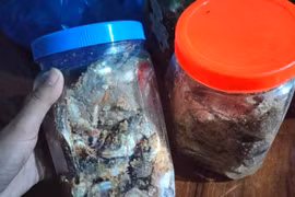 Quảng Nam: Thêm 2 người ngộ độc sau khi ăn cá muối ủ chua