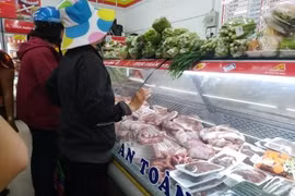 Nguyên tắc "5 không" khi dịch tả lợn châu Phi lây lan mạnh