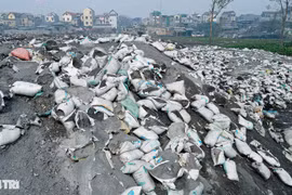 GS Đặng Hùng Võ ám ảnh với làng nghề Mẫn Xá