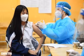 COVID-19 sáng 24/11: Hơn 2 triệu trẻ được tiêm vắc-xin, 2 địa phương tăng ca mắc kỷ lục