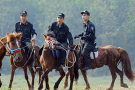 Gallery - Cảnh sát cơ động Kỵ binh Việt Nam - image 7