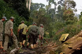 Cận cảnh 'vàng tặc' trở lại vườn quốc gia Sông Thanh