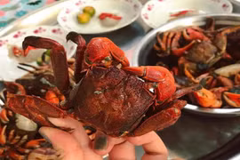  Loại đặc sản lạ chỉ có ở Cà Mau, xưa giá siêu rẻ nay 200.000 đồng/kg