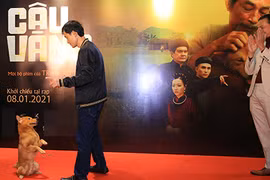 Gallery - Phim Cậu Vàng - image 10