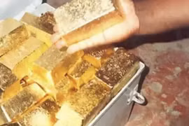 Làm cỏ ven vách đá, bất ngờ vấp trúng “kho báu” khủng toàn vàng