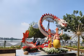 Đồng Nai: Đường hoa Nguyễn Văn Trị hơn 8 tỷ có gì?