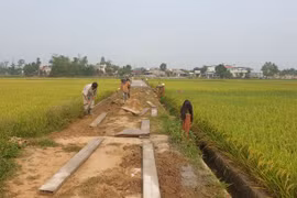 Đồng Nai: Liên danh 2 nhà thầu trúng gói làm đường gần 8 tỷ tại Cẩm Mỹ