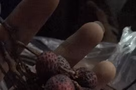 Cười bò thành quả mua vải ngon của mạng của trai trẻ