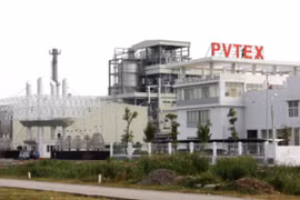 Gallery - Xét xử PVtex - image 11