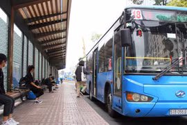 TP.HCM: Phê duyệt dự toán DV vận tải bằng xe buýt có trợ giá 1.029 tỷ