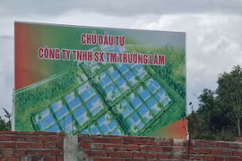 Vì sao dự án Cụm công nghiệp Tam An chậm tiến độ hơn 1 thập kỷ vẫn chưa bị thu hồi?