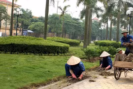 Đồng Nai: Soi năng lực nhà thầu trúng Gói thầu dịch vụ công ích gần 155 tỷ đồng