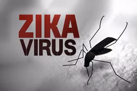 Sử dụng hơn 3.000 bộ test Trioplex chống virus Zika