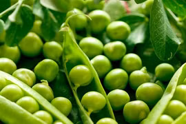 Sức khỏe cường tráng nhờ đậu lăng