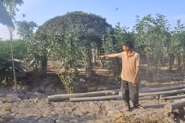Gallery - Lùm Xùm Khởi Tố Chủ Quán Cà Phê Xin Chào - image 16