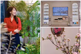 Phòng khách ngập sắc hoa trong căn hộ của MC Diệp Chi 