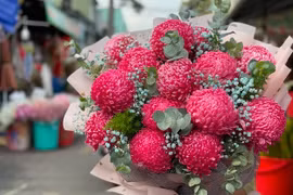 Gallery - Valentine Ấm Áp Yêu Thương - image 14