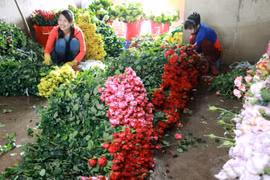 Gallery - Lễ Tình Nhân/Valentine 2020 - image 15