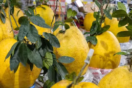 Gallery - THỊ TRƯỜNG TẾT 2024 - image 7