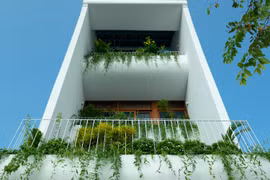 Ngôi nhà có 8 vườn bậc thang độc đáo giữa phố thị