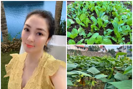 Biệt thự xanh mướt mát cây trái của Hoa hậu Nguyễn Thị Huyền