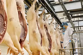 Món bình dân thành đắt đỏ, hàng Nga - Mỹ đổ về Việt Nam 