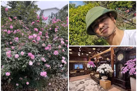 Có gì trong nhà vườn đẹp như resort của NSND Xuân Bắc?