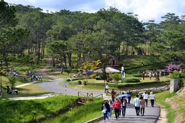 Gallery - Bạn nên biết - image 10