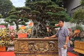 Đi xem vườn cây cảnh 500 tỷ đồng của Toàn 'đô la'