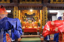 Chuyện “Giáo tử đăng khoa” cả nhà đỗ Tiến sĩ 