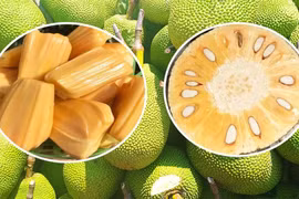 Giá mít Thái tăng mạnh